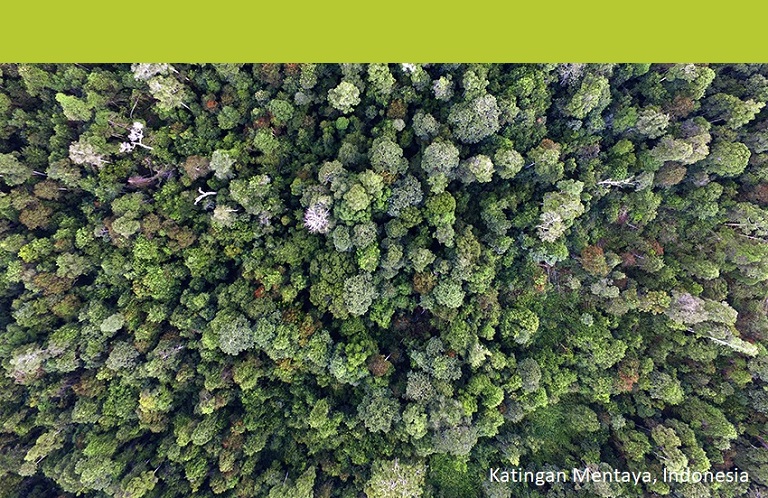 Nature-Based solutions project Indonesie