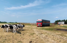 Werken bij Zijderlaan_losgestort
